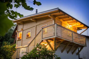 House Gabrijel with four seasons outdoor kitchen